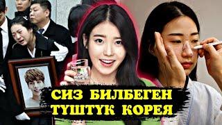 Түштүк Корея жашырган 10 факт | Көрүп таң каласыз [кыргыз топ]