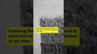 6 Royal College of Art projects exhibited in Dubai during COP28