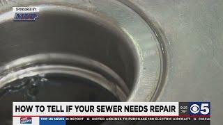 Pro tips for preventing sewer backup