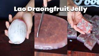 How to make Lao Dragonfruit Jelly Recipe - Vun