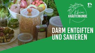 Entgiften und Darm sanieren | Kleine Kräuterkunde