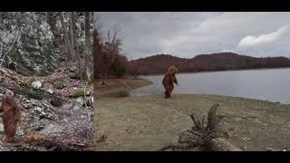 Turtleman’s Hunt for the Shenandoah Squatch