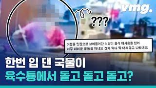 먹던 국물이 다시 육수통으로? '국물 재사용' 논란 휩싸인 부산 어묵탕집 당시 상황 / 비디오머그