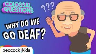 Why Do People Go Deaf? | COLOSSAL QUESTIONS