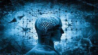 The Human Brain Explained | Neuroscience Full Documentary