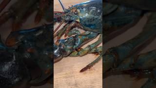 Cooking Blue Lobster