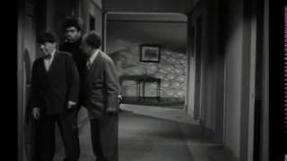 The Three Stooges - Best Slaps - Are you Expecting Santa Clause?