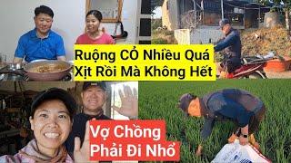 1088# Ruộng CỎ Mọc Nhiều Quá Hai Vợ Chồng Quần Quật Đi Nhổ