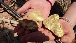 Gold panning with treasure-hunting instruments in the wild is underway