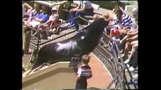 Steve Zaagman at 5 years old feeds a sea lion