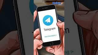 Telegram Assures Stability Amid CEO’s Legal Issues, Crypto Holdings Surge