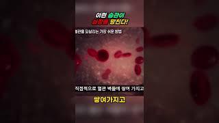 이런 습관이 심장을 망친다