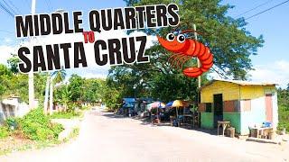 SCENIC JAMAICA ROAD TRIP OF ST.ELIZABETH , MIDDLE QUARTERS TO SANTA CRUZ , ST.ELIZABETH #JAMAICA