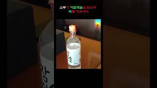 소주가 아침햇살을 받으며 미를 창조하다