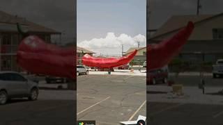 World's Largest Chile Pepper