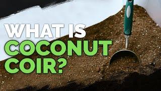 Coconut Coir: What it is and How To Use It In The Garden