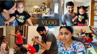 Neevu ne bada nuksaan kar diya Husband baat ko ghumate hai | VLOG