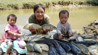 Meet a giant school of fish, catch fish and bring them to the market to sell with your baby