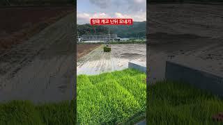 양파 캔후 모내기 #모내기 #해담 #여름 #덥다 #청년농부 #구독과좋아요 #automobile #farming #farm #고령군