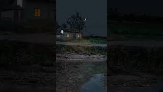 Best thing to hear ...sound of nature️#ytshorts#youtube#youtubeshorts#shortsfeed#viral#shortvideo