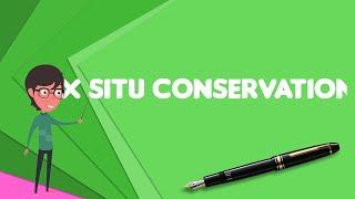 What is Ex situ conservation?, Explain Ex situ conservation, Define Ex situ conservation