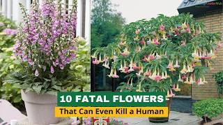 10 Fatal Flowers That Can Even Kill a Human