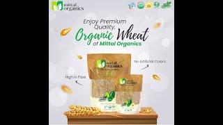 MITTAL ORGANICS | ORGANIC FOOD | ORGANIC WHEAT | WHEAT FLOUR