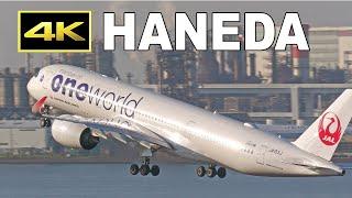 [4K] Early morning plane spotting at Tokyo Haneda Airport 2024 / 羽田空港 JAL ANA