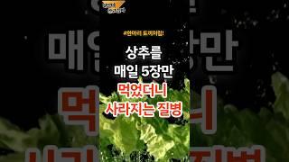상추를 매일 5장 먹었더니 사라지는 질병 #건강 #건강정보 #상추 #상추효능