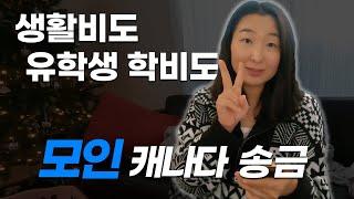 해외 생활비도 유학비도 모인으로 송금하기! | 모인 X 나는아영 [후기가 모인]