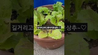 21세기 트렌드입니다!