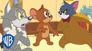 Tom & Jerry | Monkey Business  | WB Kids