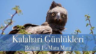 Kalahari Günlükleri - Bölüm 1 - Mata Mata