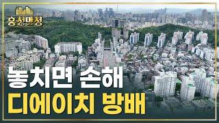 강남 입성 노린다면 이번에야 말로 최고의 기회 | 흥청망청