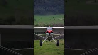 great landing on a tail dragger. #aviation #taildragger #airplane #piper