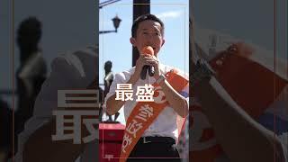 #shorts 【参政党公認 熊本３区 植田たかとし】『いぐさ産業の崩壊』 #日本をなめるな　#2枚目は参政党　#参政党は5議席獲得　#神谷宗幣