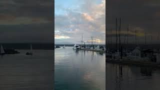 Comox valley Marina