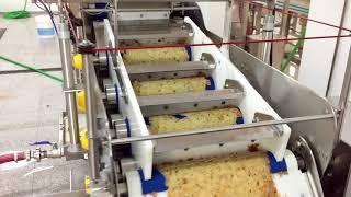 Sraml apple, pear and peach processing line in Portugal