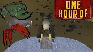 1 Hour of Dark Crab Fishing on OSRS