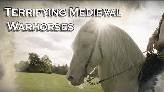 Warhorses: How did a medieval knight and his horse work as a team on the battlefield?