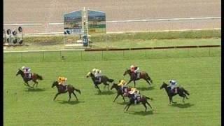 License To Steal (Racehorse) - Sunshine Coast 15/03/09 1st Win