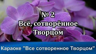 № 2 Всё сотворённое Творцом | Караоке с голосом | Христианские песни | Гимны надежды