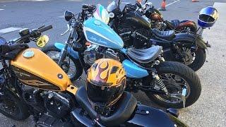 80 Sportsters in brighton for Brightona