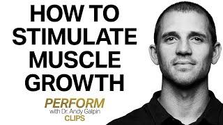 Best Nutrition & Training to Simulate Muscle Growth | Dr. Andy Galpin