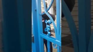 SYNAGOGUE SECURITY AGAIN BLOCKS RABBI KRINSKY'S ENTRY (28 Feb 2017)