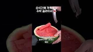 수박칼 수박 자르기 자르는법 커터 썰기