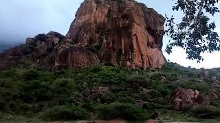 Water divining using single stick and forked stick