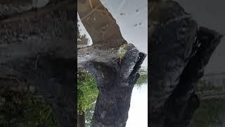 kya hasi Hai yah jawab dhadkane Hai Samar short video 