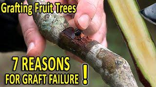 7 COMMON GRAFTING MISTAKES and HOW to AVOID THEM | Grafting Techniques TIPS