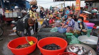 Morning Fish Market Scene @Khan Prek Phnov - Walk Around Phsa Trey Nearly Prek Phnov Bridge